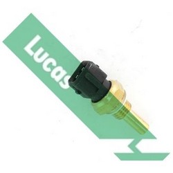 SNB810 Lucas