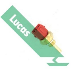 SNB838 Lucas