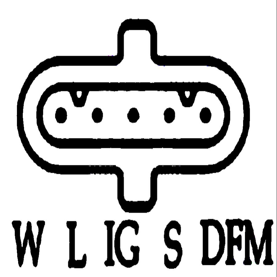W-L-IG-S-DFM
